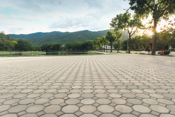 Best Best Driveway Pavers  in Milledgeville, GA